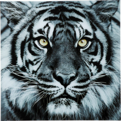 35848 kare design дизайнерска картина стъкло картина тигър черно бяла картина